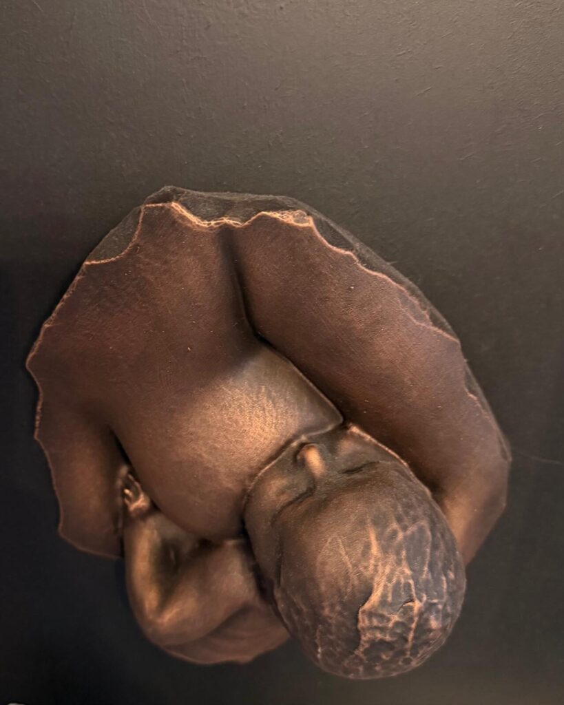 Treasured Moment Bright Koper